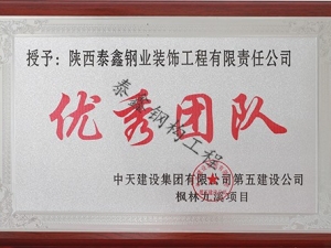 優(yōu).秀團(tuán)隊—中天楓林九溪