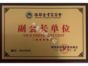 西部企業(yè)家—副會長單位